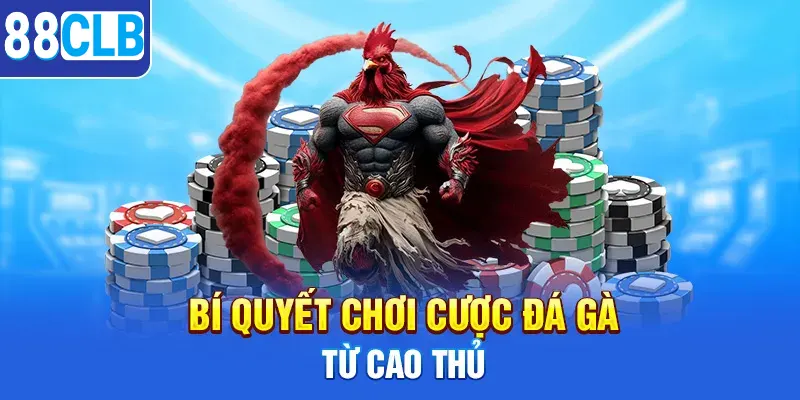 Bí quyết chơi đá gà