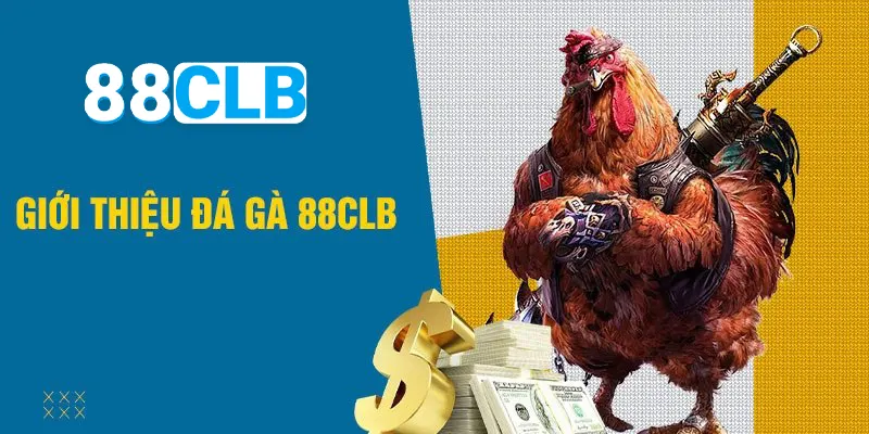 Giới thiệu đá gà 88CLB